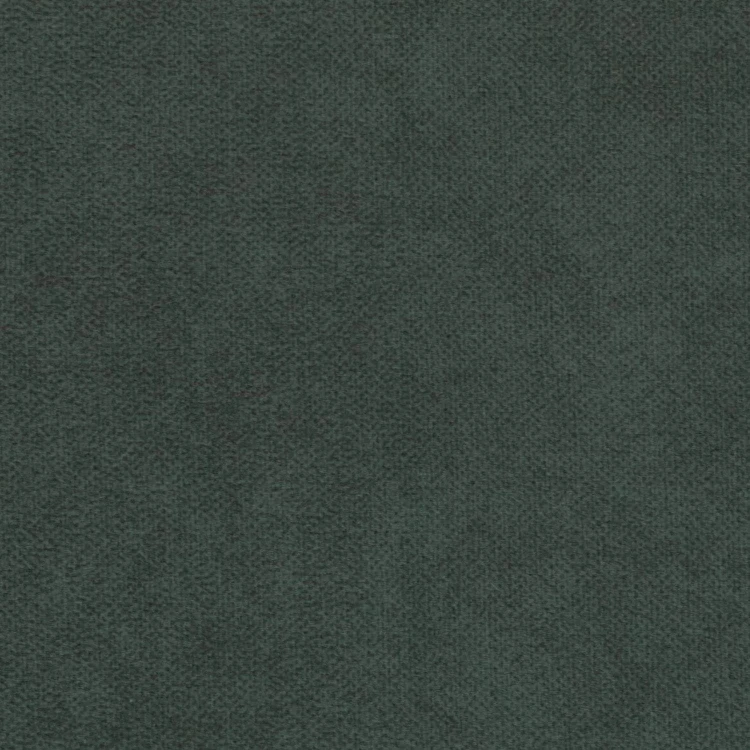 39.jpg