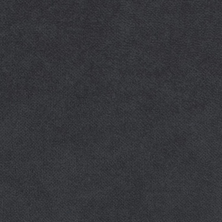 79.jpg