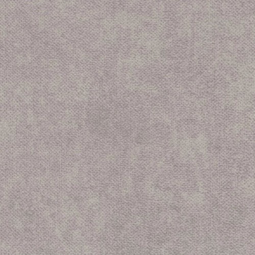 81.jpg