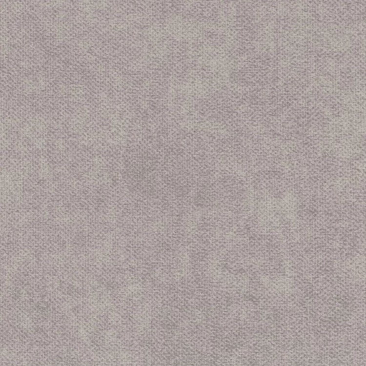 81.jpg